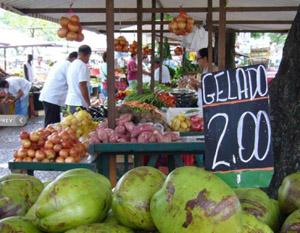 ¿QUÉ CULPA TIENE EL TOMATE?