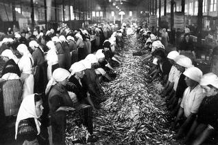 As raices da Galicia industrial: Historia do sector da conserva