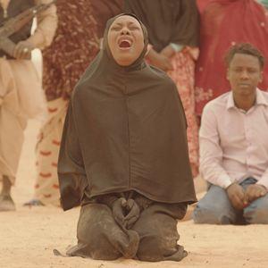 Timbuktu, le chagrib des oiseaux