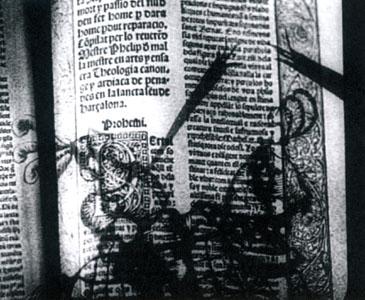 DON QUIJOTE DON QUIJOTE