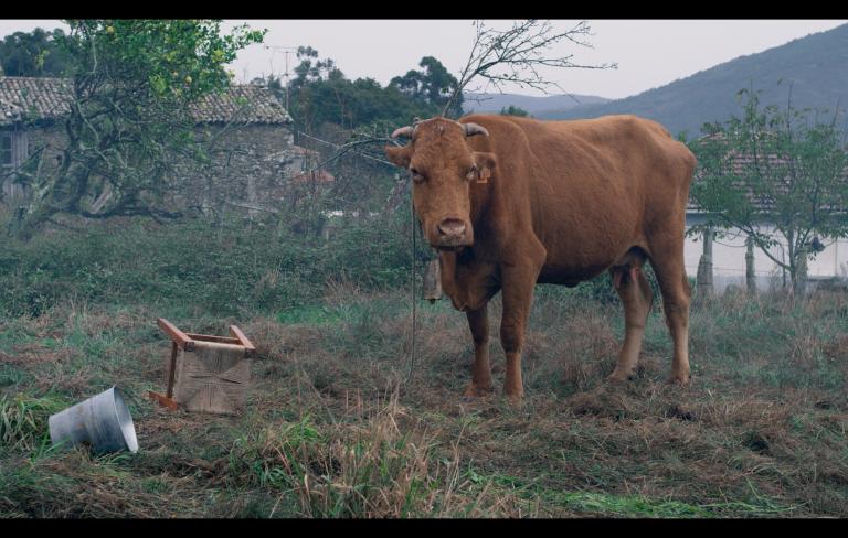 Las vacas de Wisconsin