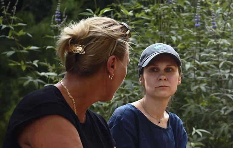 Historias del buen valle