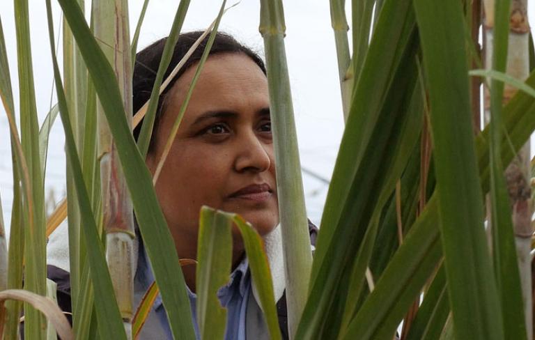 Historias del buen valle