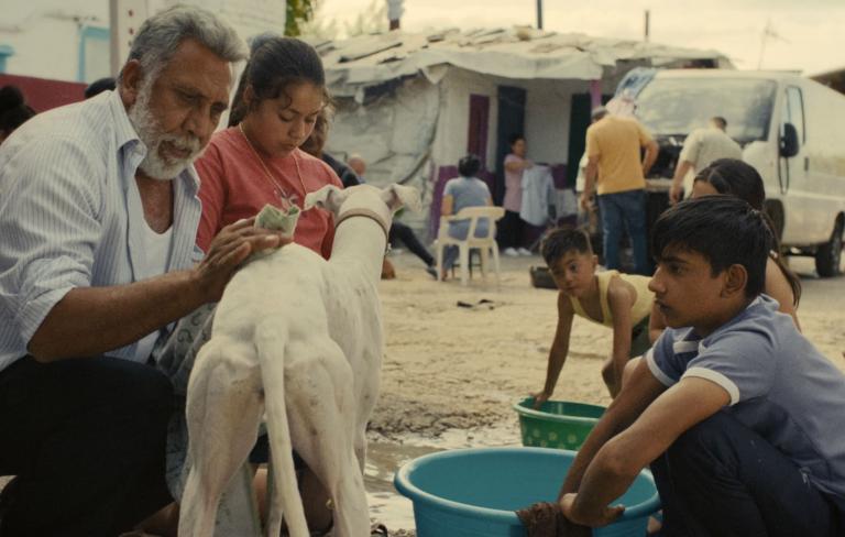 Ciudad sin sueño