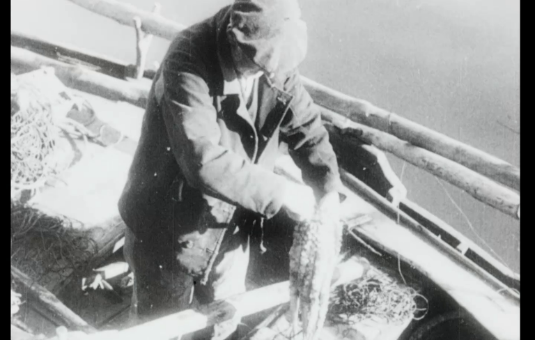 Noticiario Folk nº 1