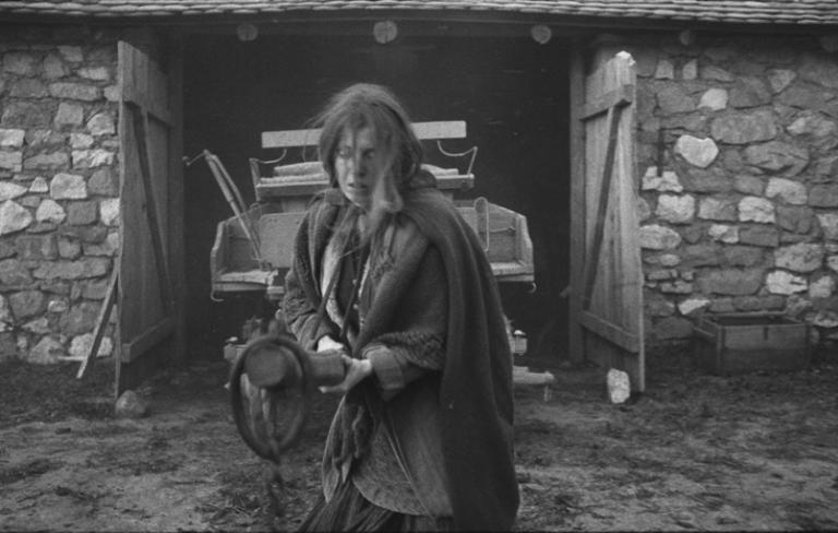 El caballo de Turín