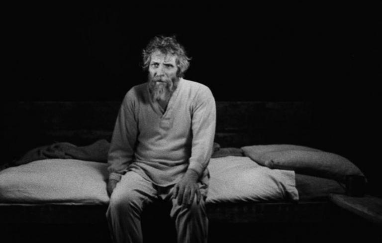 El caballo de Turín