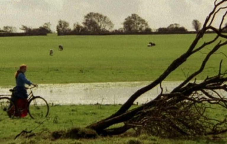 Nos límites da realidade. Cine documental en España