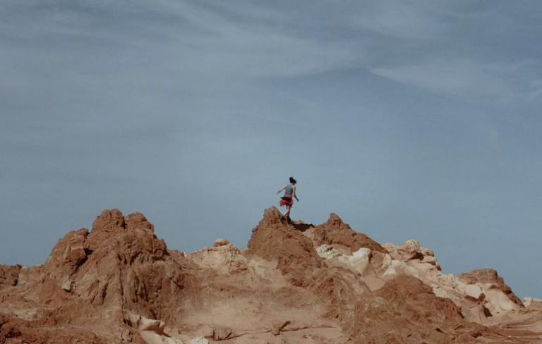 Cormorán. Curtas 2.