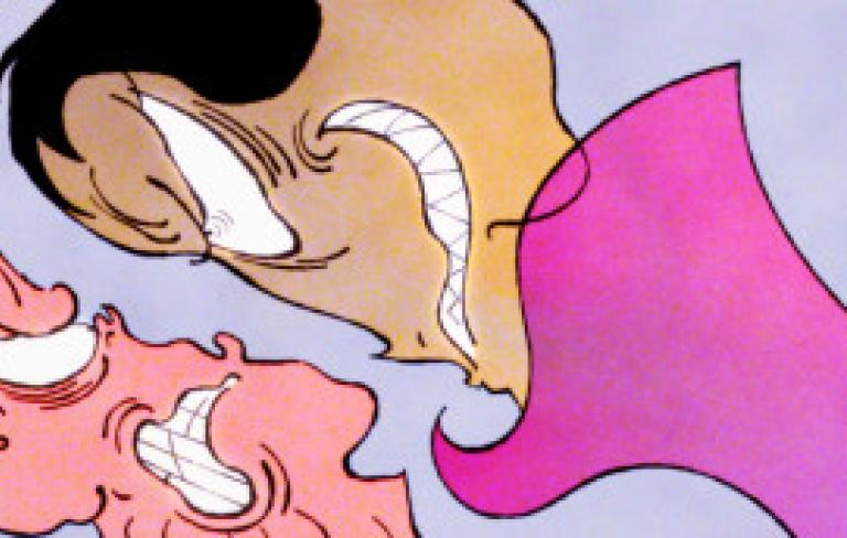 Cormorán. Cortos 1.