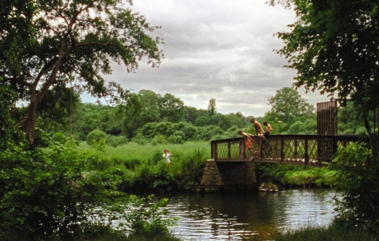 Cormorán. Cortos 2.