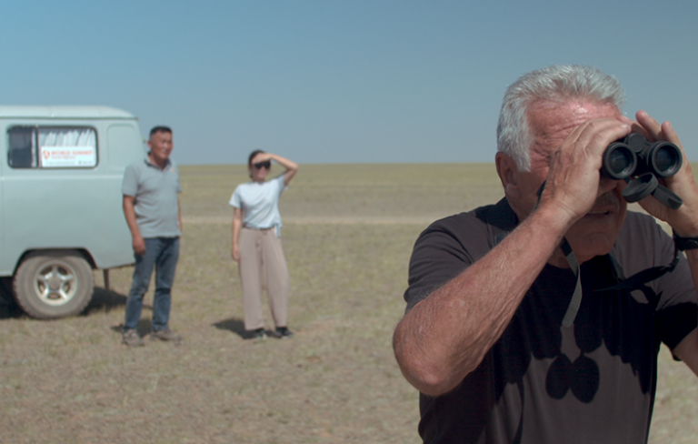 Cormorán. Cortos 1.