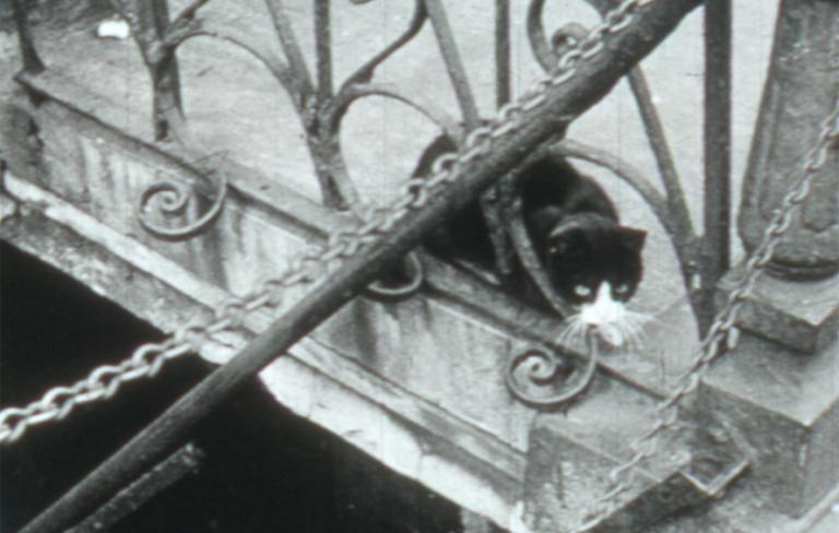 What Mozart Saw on Mulberry Street