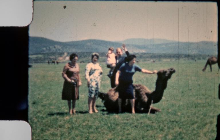 Olladas de Muller: cinema desde a emigración