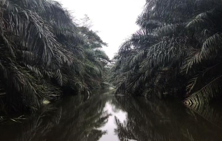 Ningún río me protexe de mín