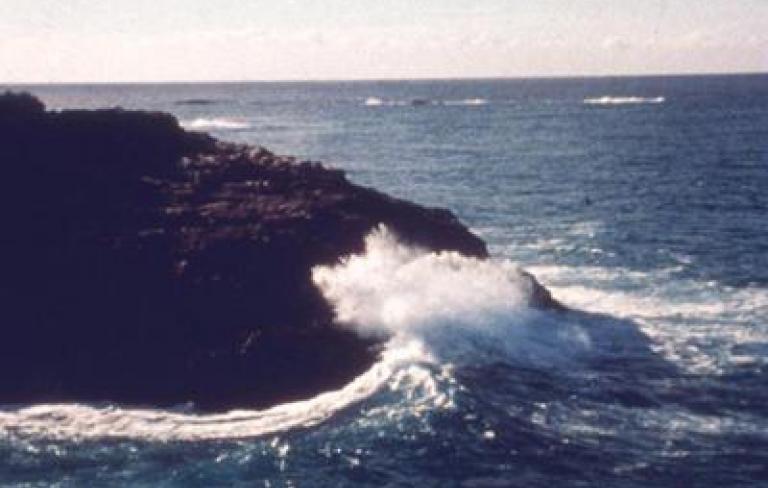 Ocean at Point Lookout