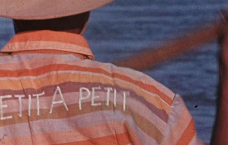 Petit à petit (2: Afrique sur Seine)