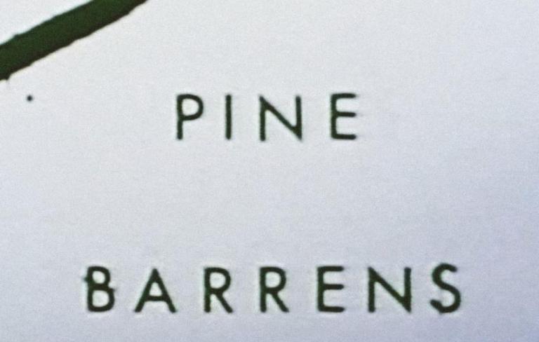 Pine Barrens