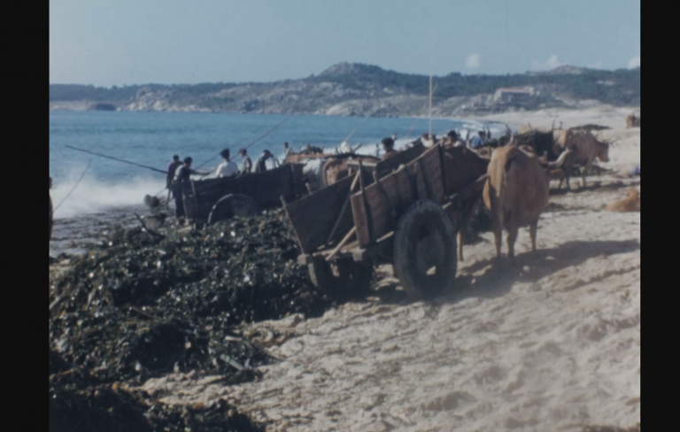 Por los caminos de España