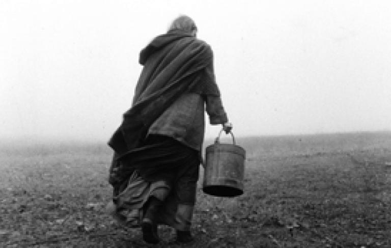 The Turin horse