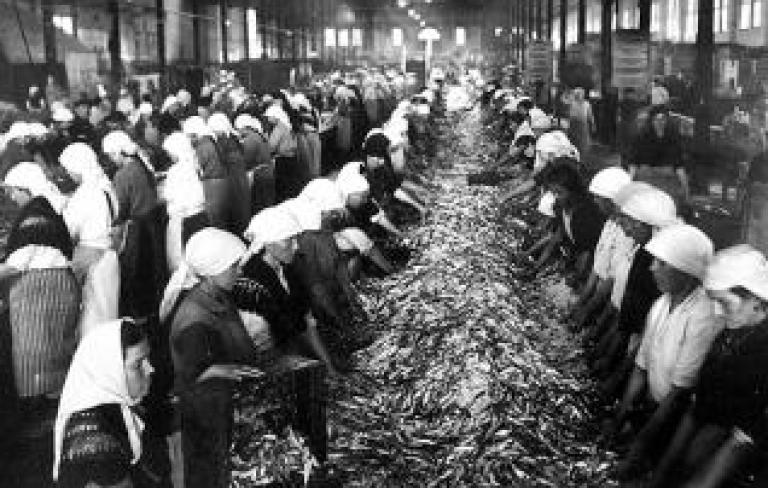 As raices da Galicia industrial: Historia do sector da conserva