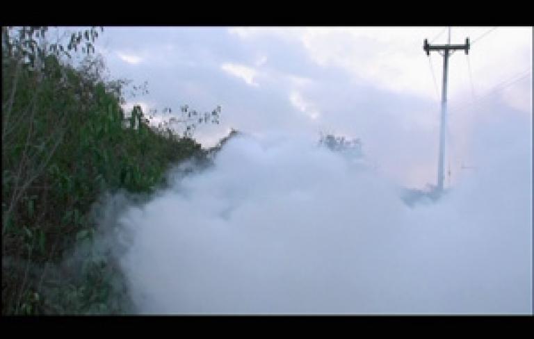 Apichatpong Weerasethakul. Curtametraxes