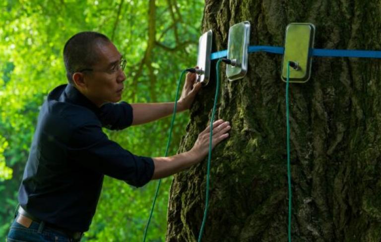 Encuentro con Paco Calvo