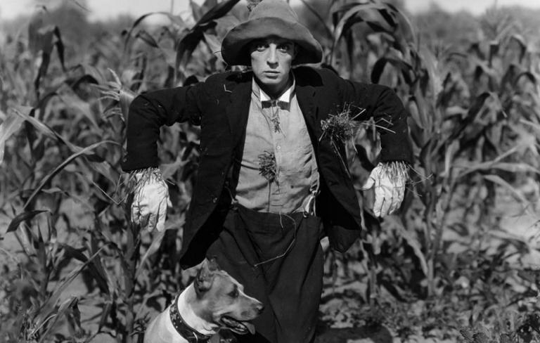 Curtas Buster Keaton 1920-1921